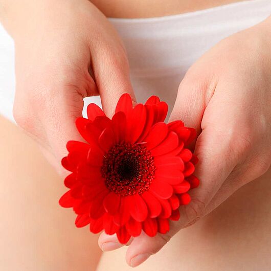 Frau hält eine rote Gerbera vor den unteren Bauch