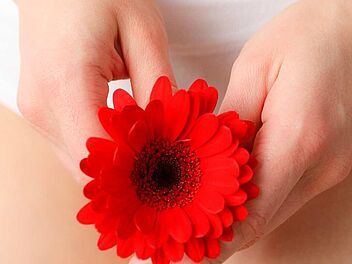 rote Gerbera in den Händen Intimchirurgie__Taina_Thoma_duesseldorf.jpg